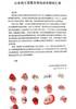 CBA敦促山东男篮尽快处理球员欠薪事宜 俱乐部已支付部分款项