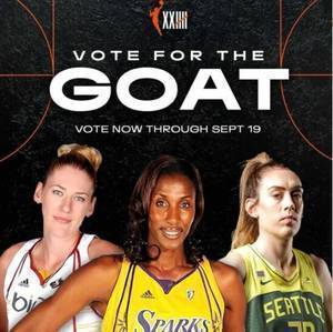 WNBA历史25大最伟大球员：马刺助教哈蒙入选 现役有10人在列