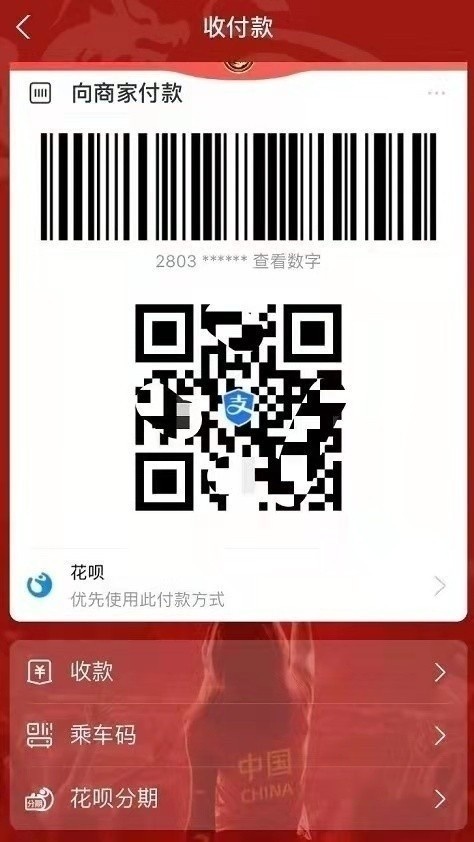 拼出血性，不留遗憾！为国足助威，晒支付宝付款码皮肤赢球衣！