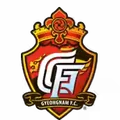 庆南FC