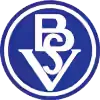 SV不莱梅
