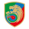 莱格尼卡