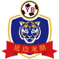 延边龙鼎