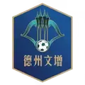 德州队
