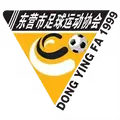 东营队